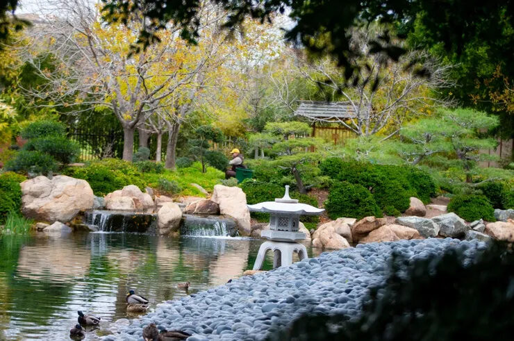 Japanese Friendship Garden koi pond in Balboa Park
